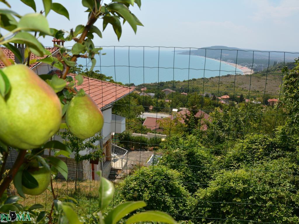 Villa Puma Balchik Bilik gambar